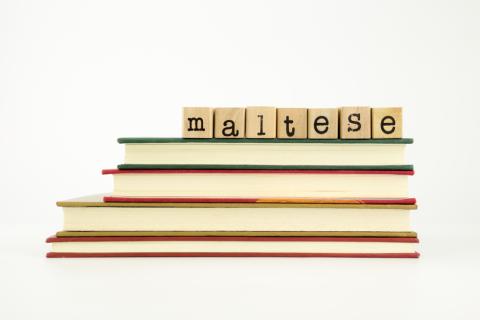 Übersetzungsbüro Maltesisch Übersetzungsbüro Maltesisch