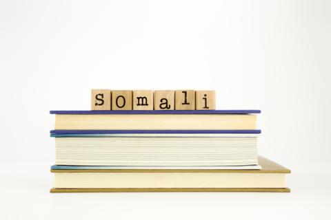 Professionelle Übersetzer Somali Deutsch Übersetzer Somalisch Deutsch