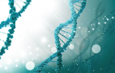 Wissenschaftliche Übersetzungen Wissenschaftliche Übersetzung
