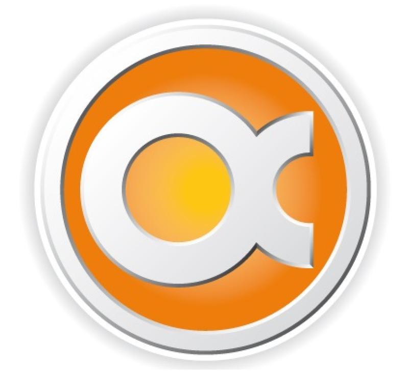 Interview mit Frédéric Ibanez, Gründer von Optilingua International Optilingua Übersetzungsagentur